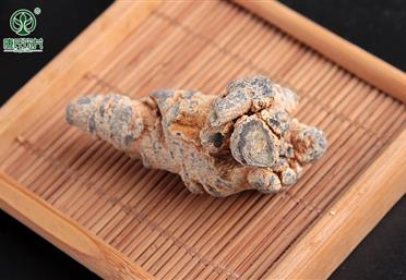 三七剪口是什么意思，有什么作用 - 三七粉代工